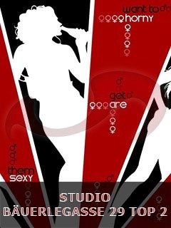 - Studios Wien:  Studio Bäuerlegasse  in Wien  / Wien , Bäuerlegasse 29