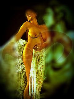  Eva 2  in Niederösterreich  / Kemmelbach , Gewerbestrae 2 