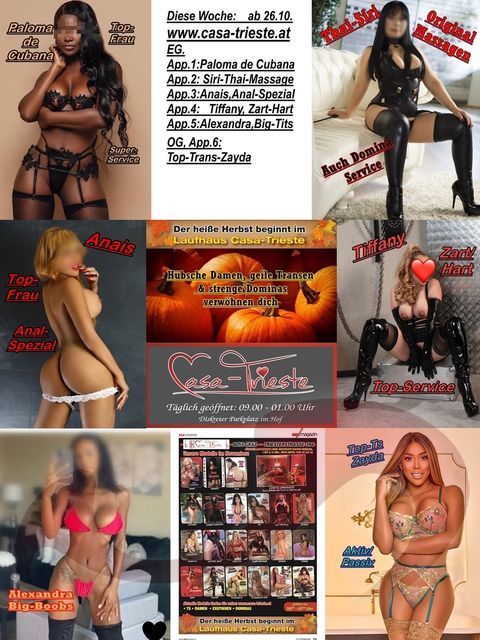 - Laufhaus | Laufhäuser:  Laufhaus Casa-Trieste  in Steiermark  / Graz , Triester Straße 394