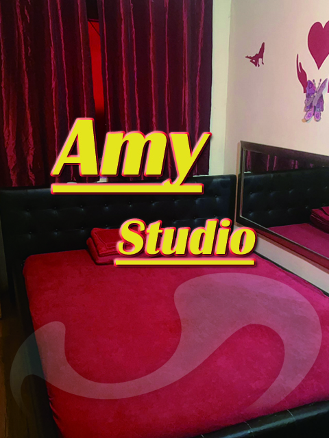  - Studios Wien:  Amy Studio  in Wien  / Wien , Stttermayergasse 31a 