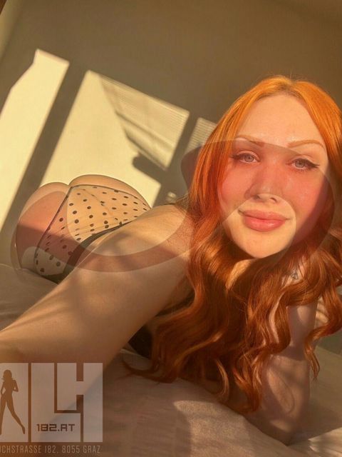  Ginger  in Steiermark  / Graz , Puchstrae 182 