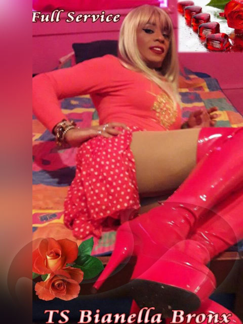  TS Bianella Bronx Aus Costa Rica  in Nieder&ouml;sterreich  / St. Valentin , Wiener Stra�e 28 